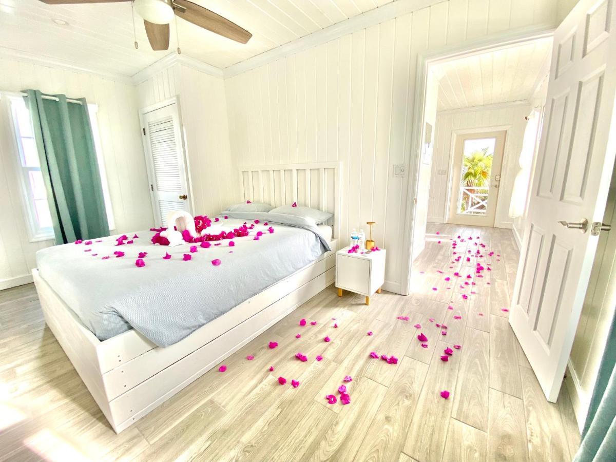 Eleuthera Retreat - Villa & Cottages On Pink Sand Beachfront Palmetto Point Εξωτερικό φωτογραφία