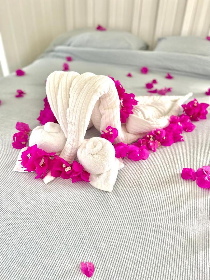 Eleuthera Retreat - Villa & Cottages On Pink Sand Beachfront Palmetto Point Εξωτερικό φωτογραφία