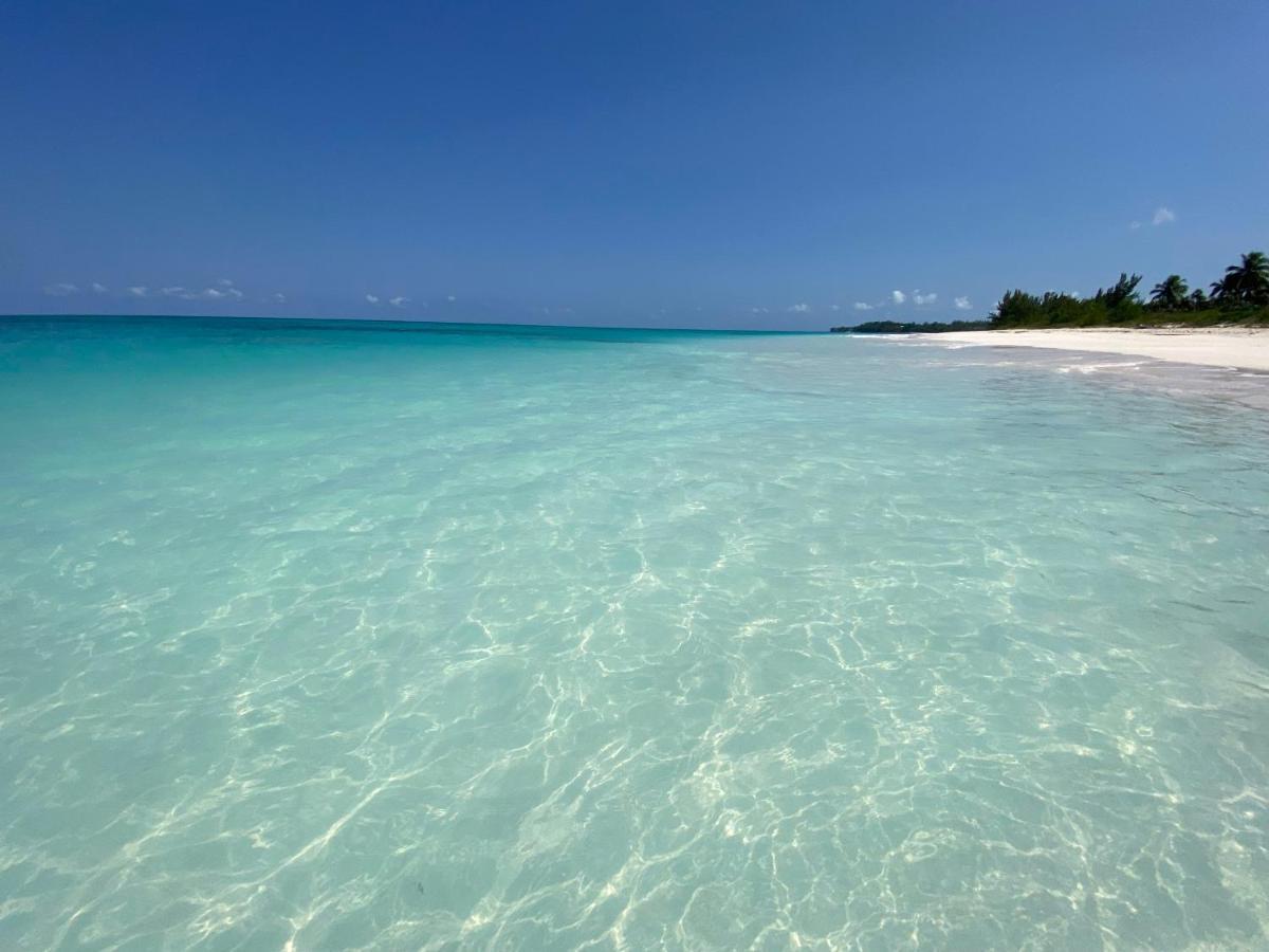 Eleuthera Retreat - Villa & Cottages On Pink Sand Beachfront Palmetto Point Εξωτερικό φωτογραφία